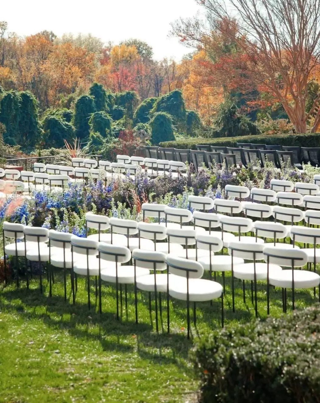 event rental wedding chair event wedding chair